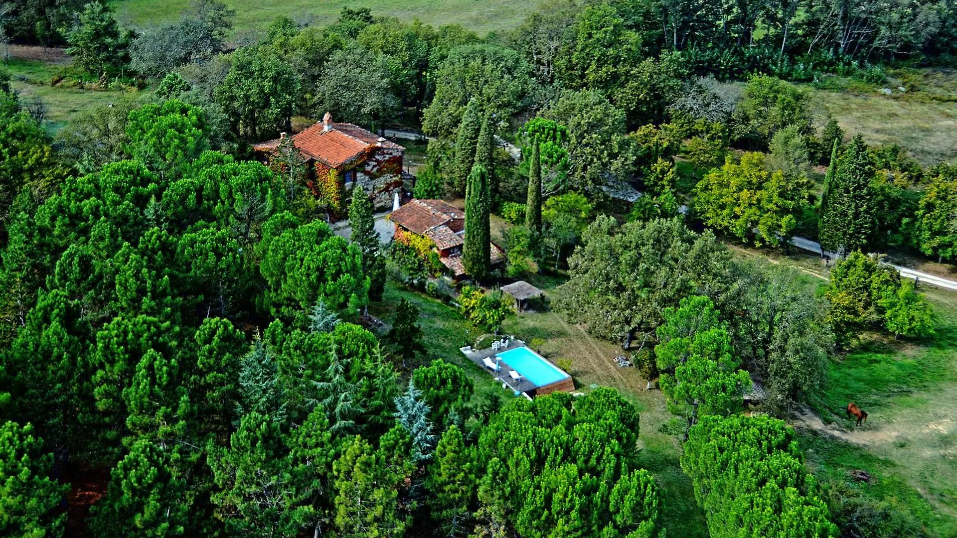 Tatil Evi La Stellina Casa Vacanze - Relax Immersi Nella Natura Pietraviva İtalya