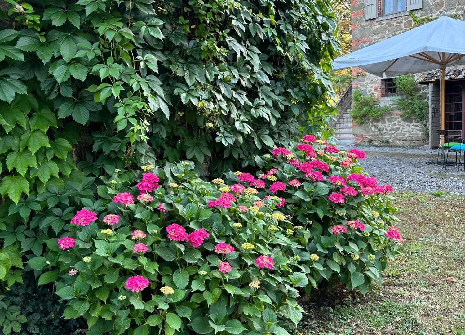 La Stellina Casa Vacanze - Relax Immersi Nella Natura Pietraviva 0*,